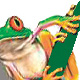 ����� ������� - Amphibia Expeditions